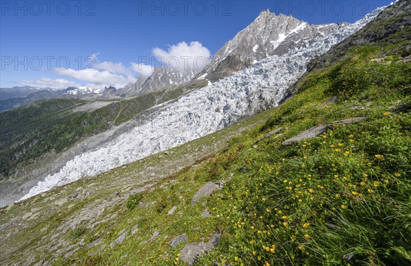 Mountain landscape with glacier Glacier des Bossons and summit of the Aiguille du Midi, Chamonix,