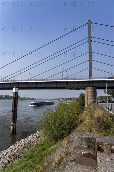 The Theodor-Heuss-Bridge, Rhine crossing, cable-stayed bridge, first road bridge of the so-called