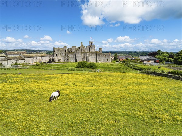 Middleham Castle from a drone, Middleham, Wensleydale, North Yorkshire, England, United Kingdom,