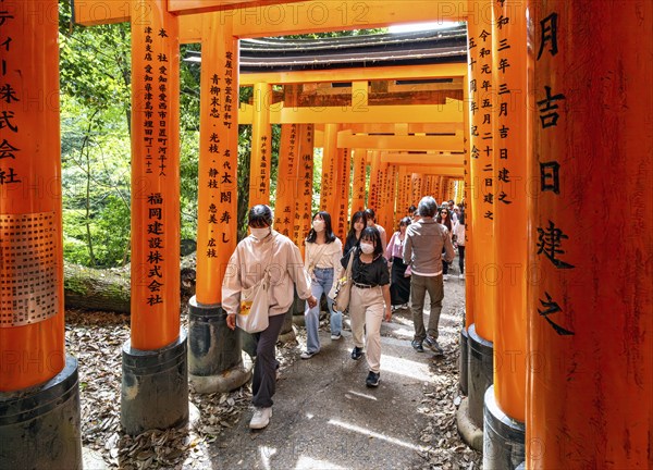 Fushimi Inari-Taisha shrine, Kyoto, Japan, Asia