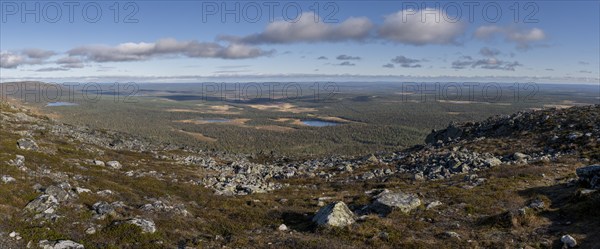 Autumn landscape, view of lake landscape, Pallas-Yllästunturi National Park, Lapland, Finland,