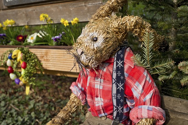 Life-size straw doll, boy as Easter bunny at school, Oberneuching near Erding, Upper Bavaria,