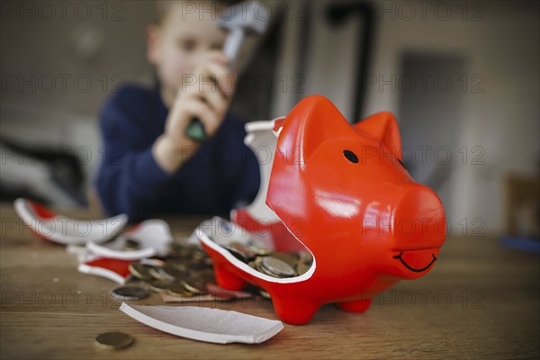 Symbolic photo on the subject of saving. A boy smashes his savings slip and counts the money it