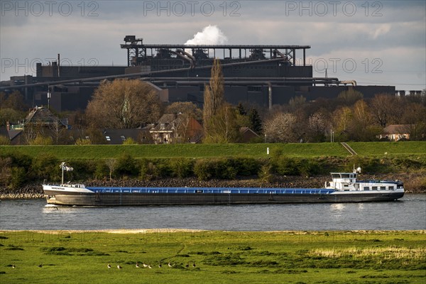 Cargo ship on the Rhine near Duisburg-Beeckerwerth, industrial backdrop of the ThyssenKrupp Steel