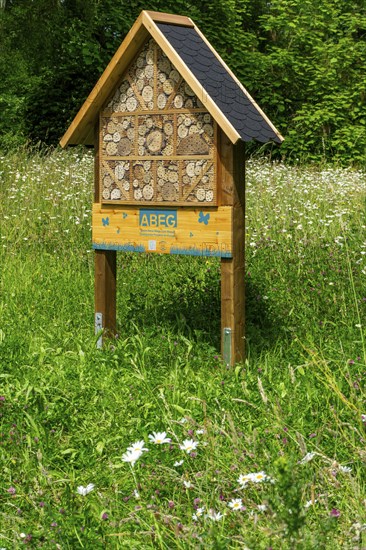 Insect hotel, wildflower meadow at the park cemetery in Essen, the city's largest cemetery, North