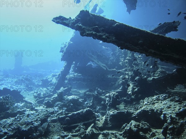 Wreck of the Dunraven, Red Sea, Egypt, Africa