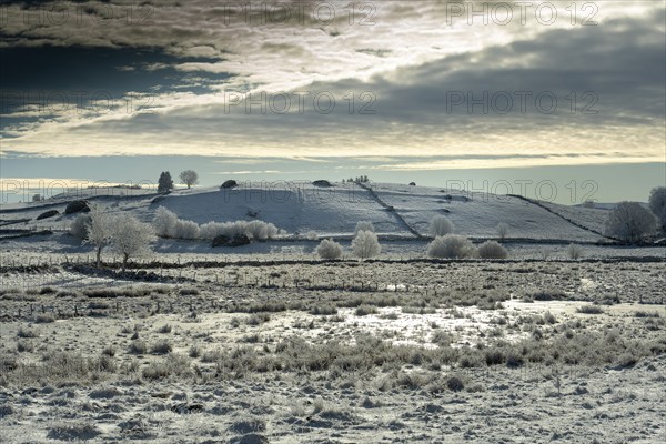 Aubrac plateau in winter. Lozere departement. Occitanie. France