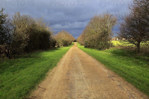 Long straight unsurfaced country road in winter sunshine, Sutton, Suffolk, England, UK