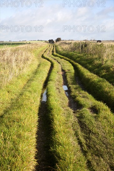 The Ridgeway long distance footpath dating from prehistory near its start on Overton Hill,