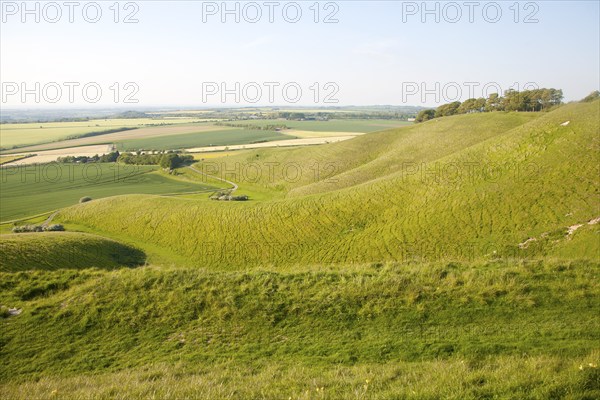 Summer view of arable fields and chalk landscape from Cherhill Down escarpment, Wiltshire, England,