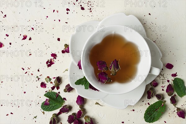 Cup of tea, damask rose, pink tea, close-up
