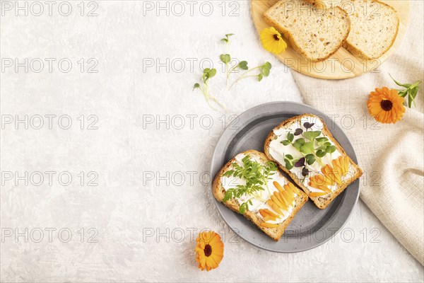 White bread sandwiches with cream cheese, calendula petals and microgreen radish and tagetes on
