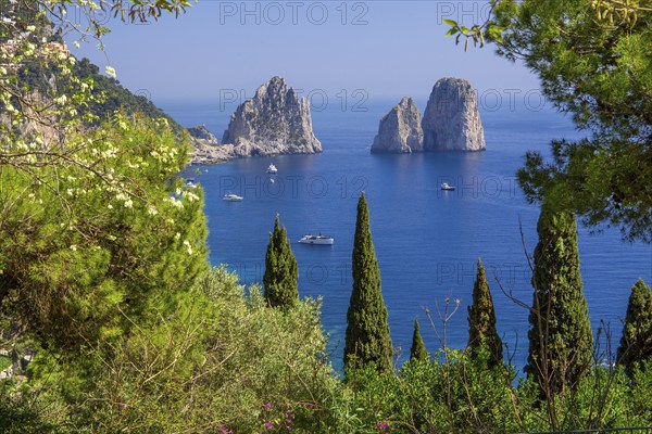South coast with the Faraglioni rocks, the island's landmarks, Capri, Campanian Archipelago, Gulf