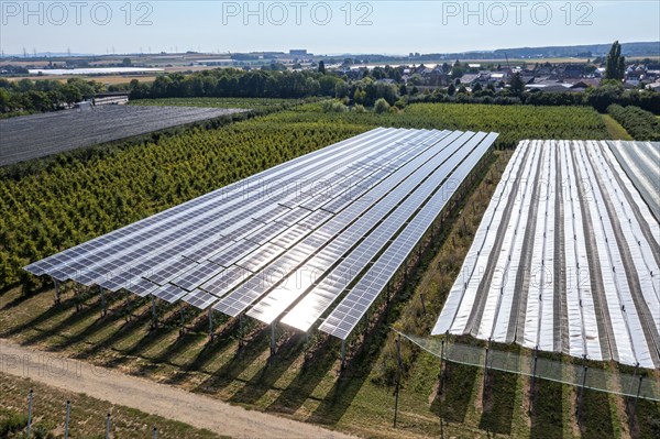 Agri-photovoltaic test plant, an apple orchard with two different systems of PV modules was roofed