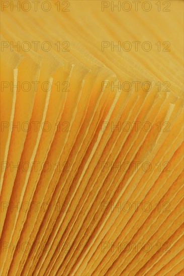 Close-up of a stack of yellow paper napkins