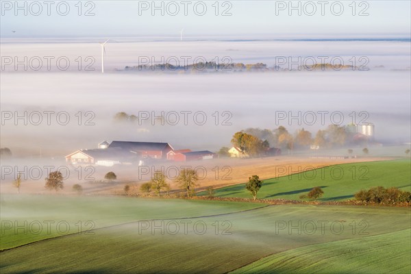 Farm in a rural landscape view with morning mist on the fields in late summer, Sweden, Europe