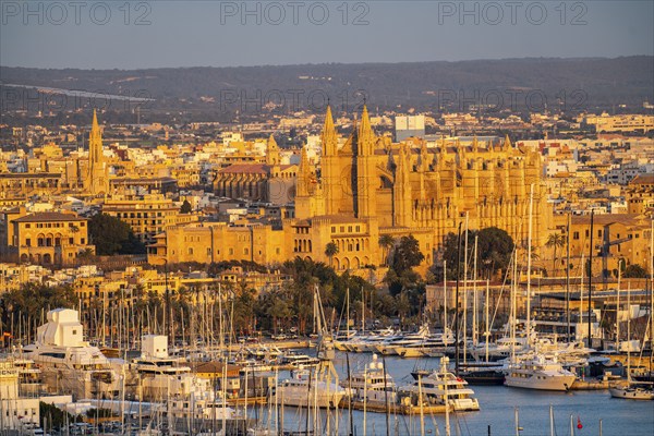 Panorama of Palma de Majorca, Bay of Palma, with the marina and the Cathedral of St Mary, Balearic