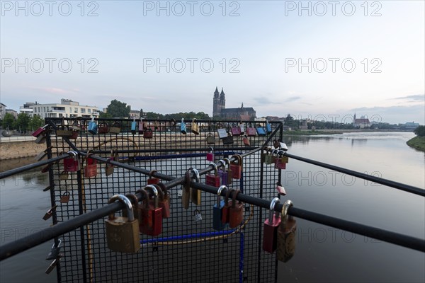 Love locks, Magdeburg Cathedral, Magdeburg, Saxony-Anhalt, Germany, Europe