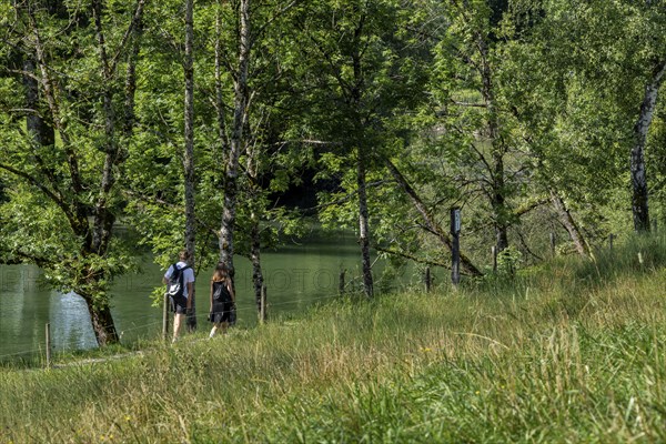 Cyclists and hikers on a circular route on Lake Tegernsee, Bavaria, Germany, Europe