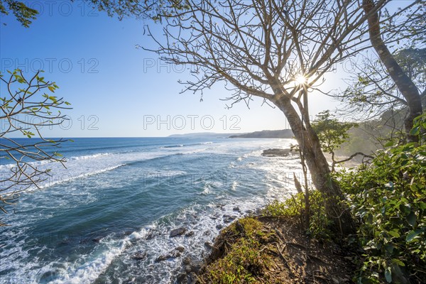 View of coast and sea, Playa Cocalito, coastal landscape in the evening light, Pacific coast,