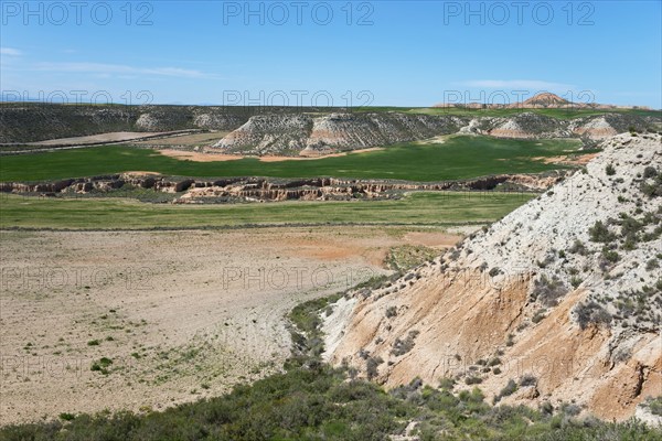 Wide valley with green meadows and dry rocks under a clear sky, Bardenas Reales Natural Park,