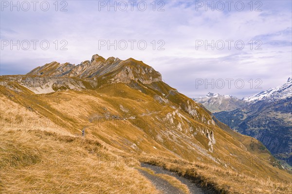 Elongated mountain range with autumn-coloured grass, Planplatten, Switzerland, Europe