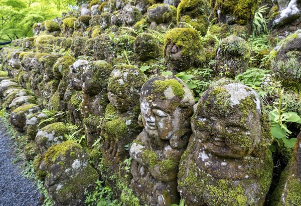 Moss-covered stone statues of rakans, the disciples of Buddha, Otagi Nenbutsu-ji temple, Kyoto,