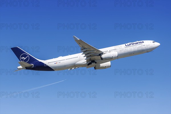 A Lufthansa Airbus A330-300 aircraft with the registration D-AIKP at the airport in Frankfurt,