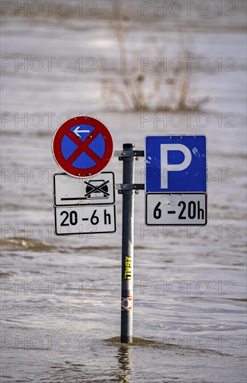 Flood of the Rhine, at the jetty of the Rhine ferry between Duisburg-Walsum and Rheinberg-Orsoy,