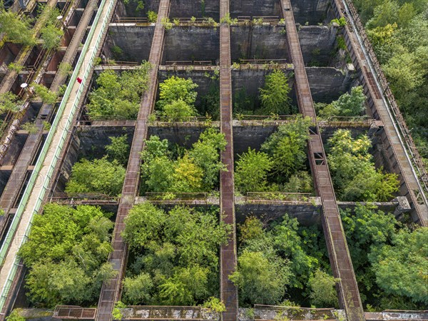 Duisburg-Nord Landscape Park, former Thyssen steelworks, closed in 1985, since then trees have been