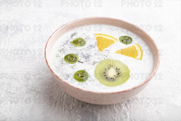 Yogurt with kiwi, gooseberry, chia in ceramic bowl on gray concrete background. Side view, close up