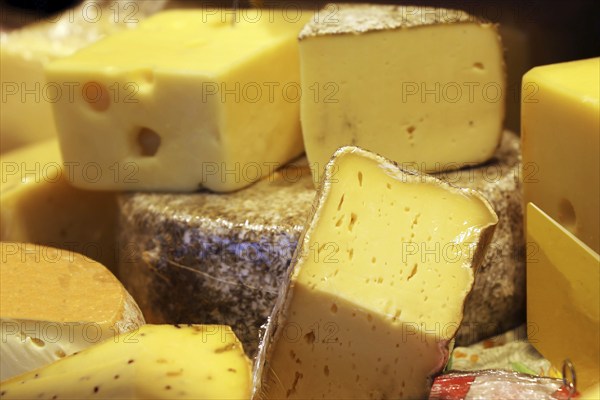 Cheese counter with a variety of different cheeses