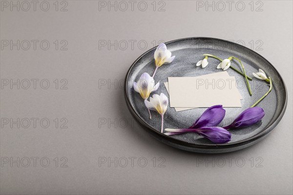 Gray paper invitation card, mockup with crocus and galanthus flowers on ceramic plate and gray