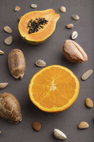 Ripe cut papaya, orange, seashells on gray pastel background. Side view, copy space. Tropical,