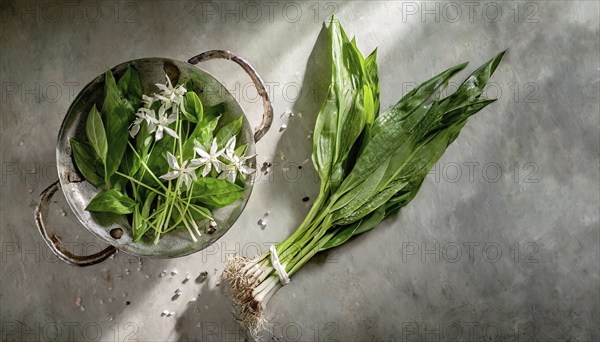 Green leaves in a bowl and white flowers next to bundled plants on a concrete table, wild garlic,