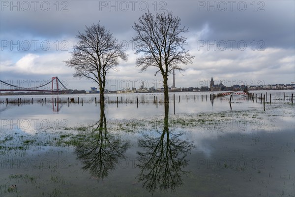 Flood on the Rhine, flooded Rhine meadows, fields, Rhine bridge Emmerich, road bridge of the B220,