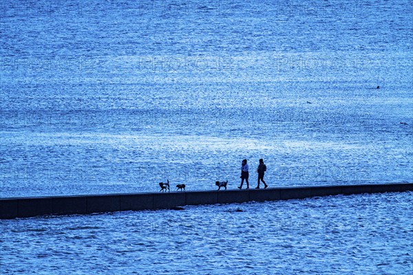West beach, beach walk, beach, island, East Frisia, winter, season, autumn, Lower Saxony, Germany,