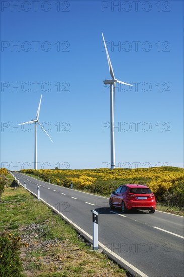 Green renewable alternative energy in Portugal, wind generator turbines among Cytisus flower shrubs