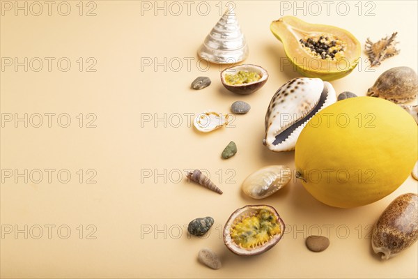 Ripe cut papaya, passion fruit, melon, seashells, pebbles on orange pastel background. Side view,