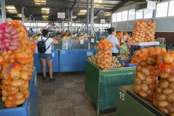 A market stall with potatoes in net bags, customers shopping in the background, market hall,