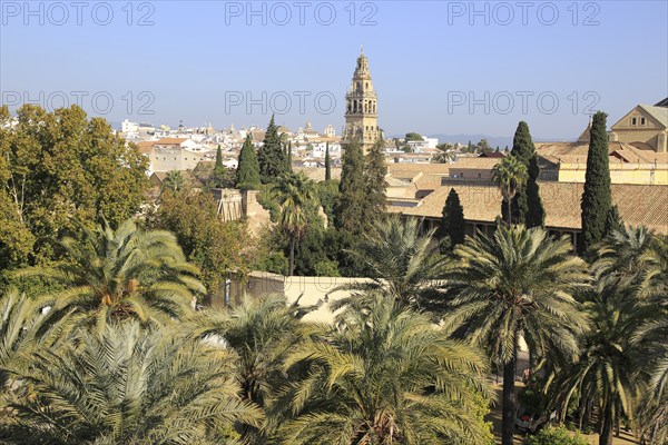 View of historic city centre and belfry bell tower, Toree del Laminar, Grand Mosque, Cordoba,
