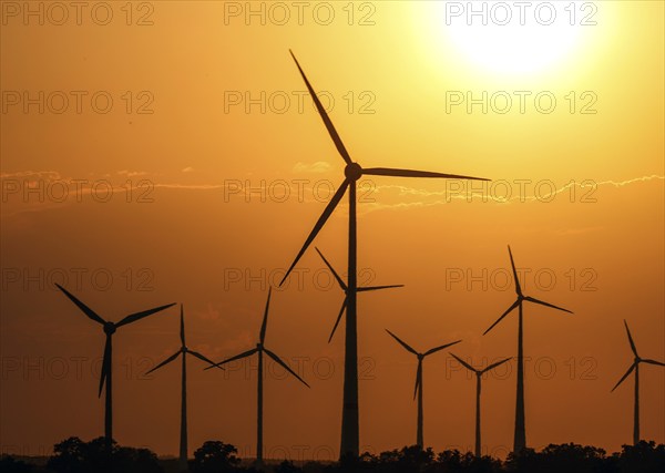 Sunset at a wind farm, Mallnow
