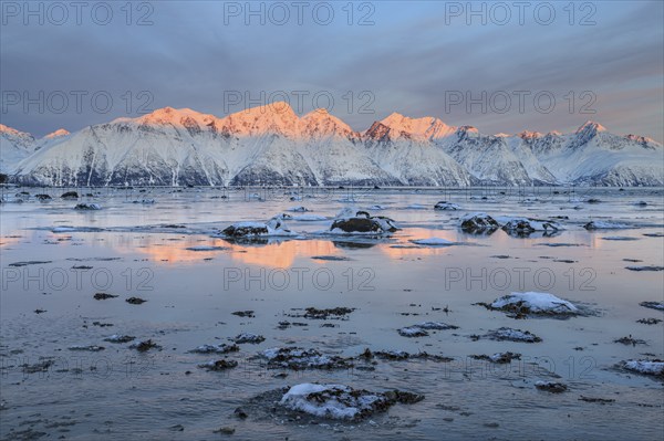 Morning light, mountains, snowy, reflection, sea, coast, fjord, winter, Lyngen Alps, Norway, Europe