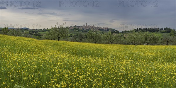 San Gimignano, Tuscany, Italy, Europe
