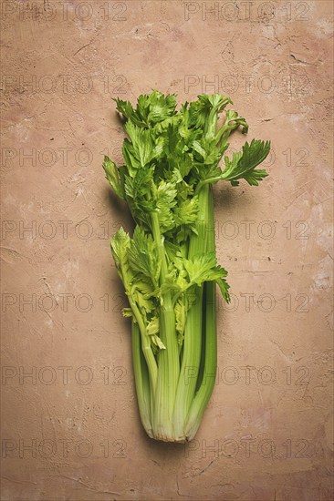 Fresh bunch of celery, top view, no people