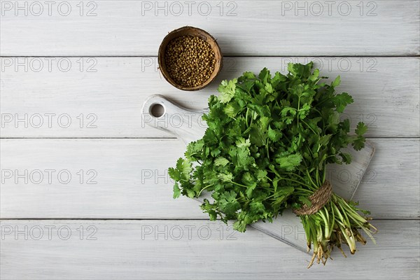 Bunch of fresh Cilantro, on a white wooden table, close-up, top view, no people
