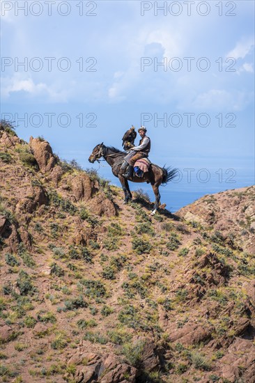 Traditional Kyrgyz eagle hunter with eagle in the mountains, hunting on horseback in front of dry