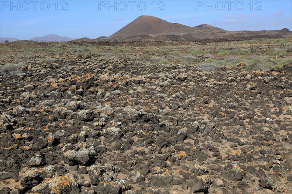 Rocky volcanic badlands 'malpais' landscape, Malpaís Grande national park, Fuerteventura, Canary