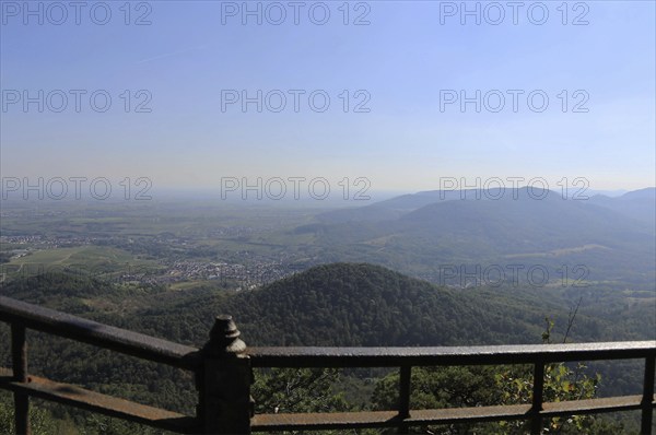 View of the Rhine plain from the summit plateau of the Orensberg (southern Wine Route)
