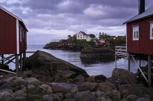 Typical red wooden houses on wooden stilts (rorbuer) in Nusfjord, white houses in the background.